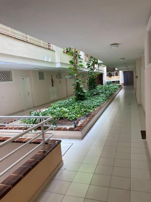 Apartament Sunset Aliss 푸에르토 데 산티아고 외부 사진